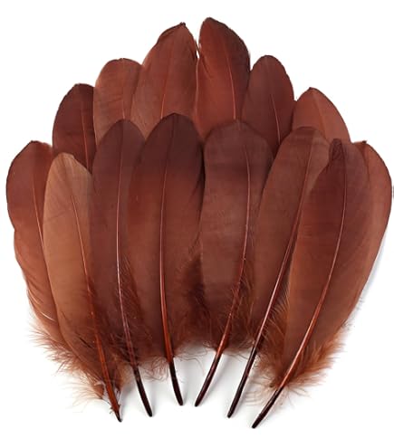 Amazon.com: Ballinger Brown Craft Feathers Bulk - 120Pcs 6-8inch